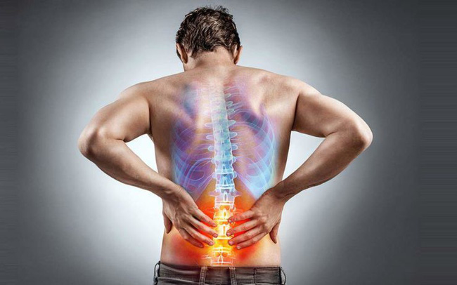 Musculoskeletal Department